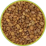 02090 الرئيسية
