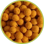 01124 الرئيسية