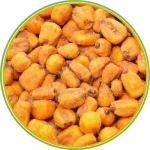 01166 الرئيسية