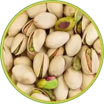 01173 الرئيسية