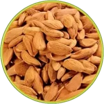 00113 الرئيسية