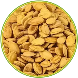 01138 الرئيسية