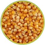 080060 الرئيسية