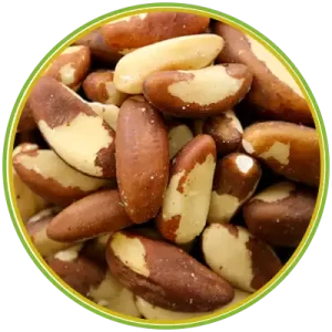 90979 الرئيسية