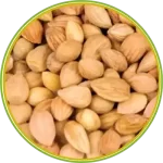 90132 الرئيسية