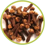 product-الرئيسية