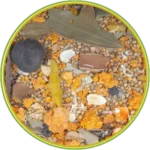 product-الرئيسية