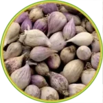 product-الرئيسية